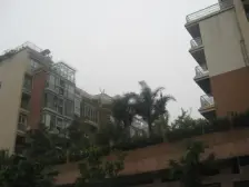 文星湾桥头大两房 位置好出脚方便