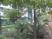 建工二村 两房 户型方正 业主诚心出