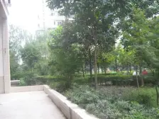 杨家坪 建工二村三房