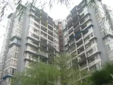 五朵金花,六年影响一生,随时用,电梯三房,拎包入住