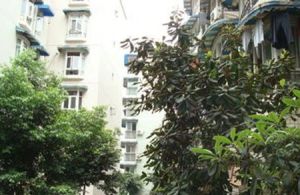 懋园九里居3室1厅南北