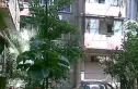 东珠市街28号院实景图