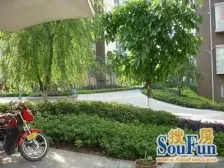 华茂 巨宇江南二房33.8万