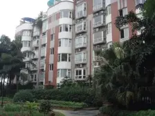 奥体中心 带100平花园 装修保持好 临轻轨