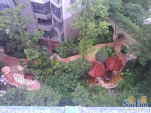 置信丽都花园城C区3室1厅东南