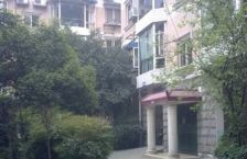 东方逸景3室1厅东南