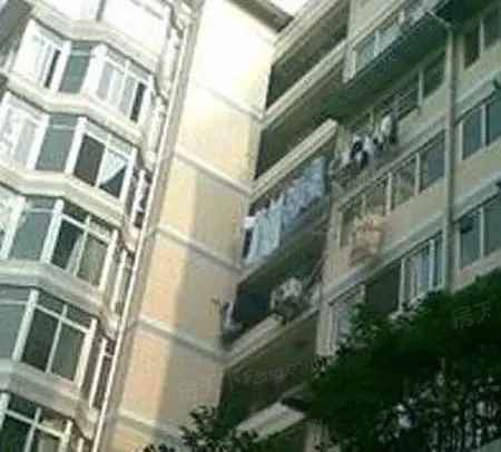 东安北路社区实景图