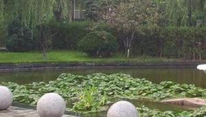 香山苑3室1厅东南