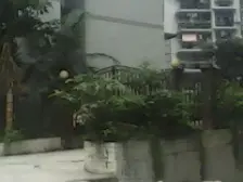 老城区 月兴村三房32万