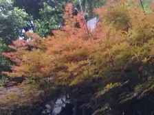 房子位置好,总价低,出行方便 ,房子户型结构好