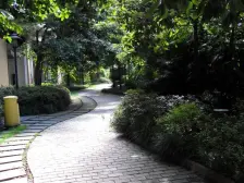 中医院旁三室业主诚心出售配套齐全