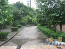 奥体环线轻轨站旁金洲星韵苑大三房业主诚售