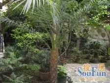 大坪 煤建新村二房