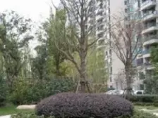 2012年品质小区,双轨交,一梯两户,电梯房,南北通