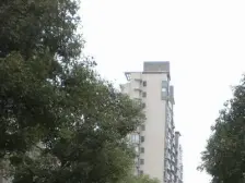 大华优质社区+2012年低密度半人车分流+一切好沟通