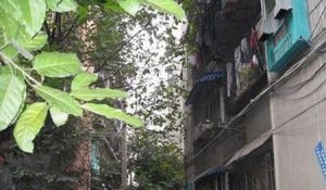 营福巷84号3室1厅东南西南