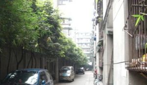 营福巷84号3室2厅东南