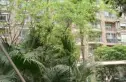 浣花新城别墅实景图