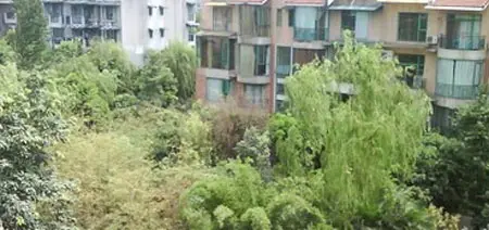 浣花新城别墅实景图