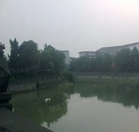浣花新城别墅实景图