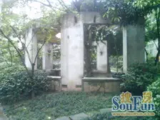 华一村 楼梯房 出行方便 采光充足