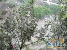 较场口 至圣宫二房51.5万