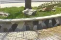 木仁星期八实景图