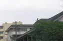 木仁星期八实景图