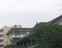草堂北支路217号1室0厅东南