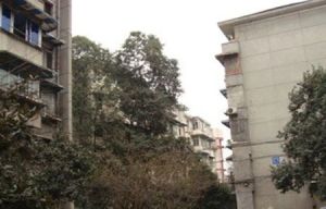 大石南路38号2室1厅南