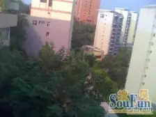 城北新区 春光雅苑二房60万