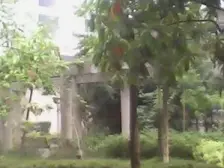 城南 步行街旁边的 精装两房出售