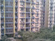 电梯房 户型方正 面积大 单价低