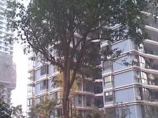 商圈内+地段好+双轻轨+户型方正+阳光充足+交通方便