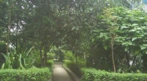 神仙园2室1厅南北
