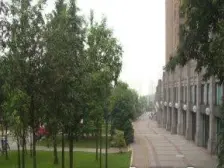 团山堡旁精装电梯两室 住家安静