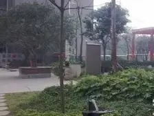 老城区 天奇花园四房82万