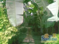 南区路南园公交站旁 平上1楼 出入方便 随时看房