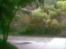 电梯房 适合居住 单价不高 适合入手