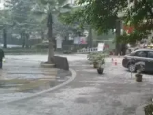 巴蜀俊秀 4室2厅 东南 北