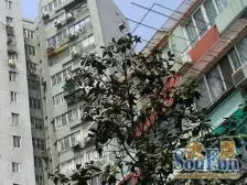 万体馆2+1三房精装修+1/3/12/23四轨交汇配套齐全