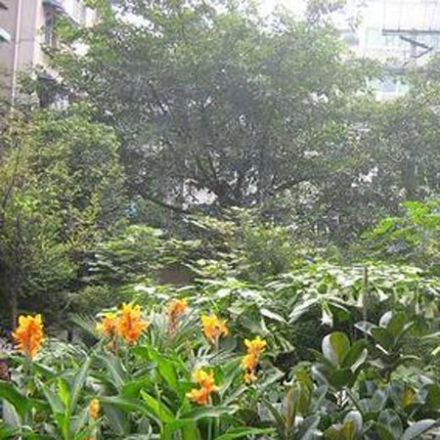 锦都园实景图