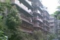 锦都园实景图