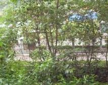 石人南路13号2室1厅南
