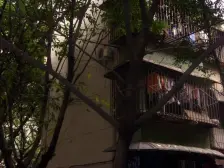 革新社区 1室1厅 东南