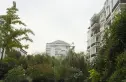 金基蓝钻实景图