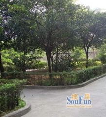 少陵横街34号2室1厅南