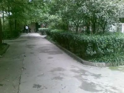 石人西路33号院实景图