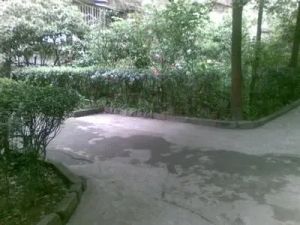 石人西路33号3室1厅南