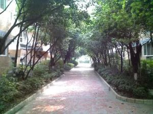 恋日家园E区3室2厅东南